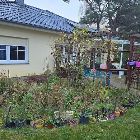 بيت ضيافة 1 Wiesenperle تراسينهيد